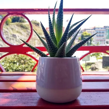 For Natural People Appartement *